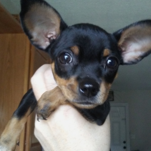 Crystals And Minerals - Picture 7 of 8